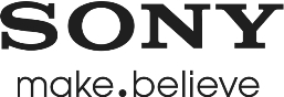 bloggie sony