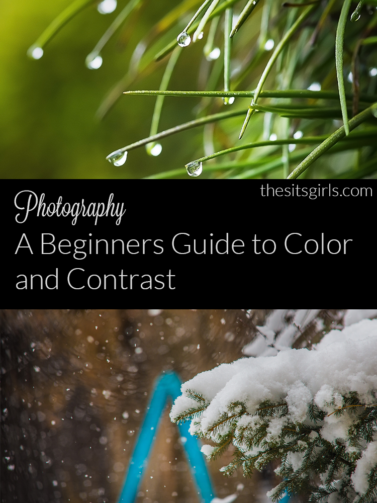 This guide to color and contrast is a beginning photographer's best friend. photography tips