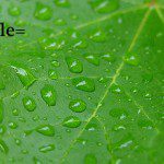 image-tips