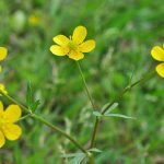 photo-challenge-wrap-up
