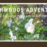 Northwoods Adventures