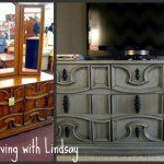 Living with Lindsay Dresser Collage SITS