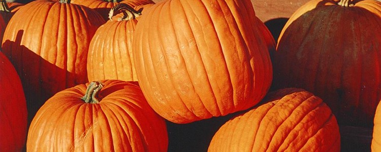 Pumpkins