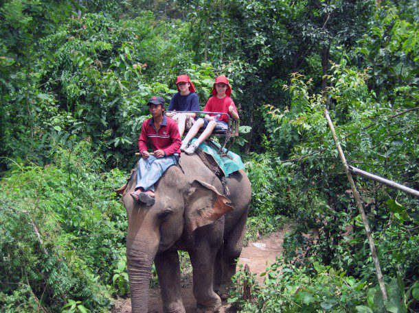 Riding an elephant in Thailand how to travel with kids