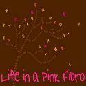 fibro