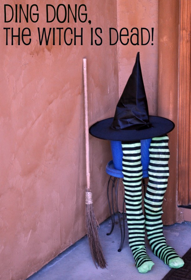 wizard of oz costume