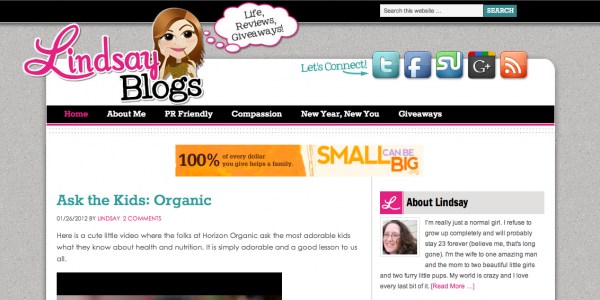 lindsay blogs blog critique