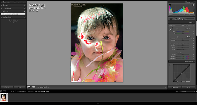 In this example you can see where the picture was blown out due to overexposure | photography tips