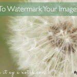 how to watermark images