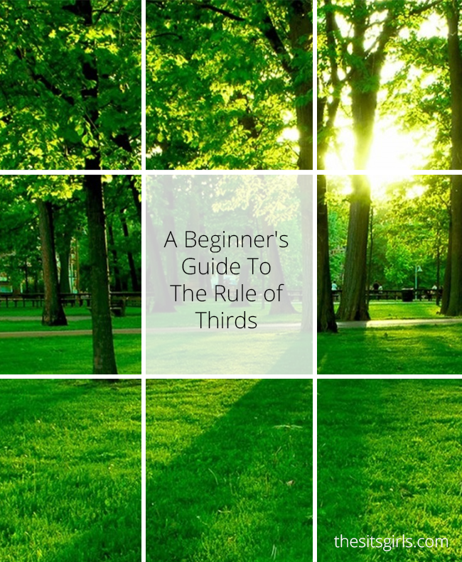 Photography Tips | Learn how to use the rule of thirds for great photo composition.