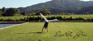 Cartwheel picture