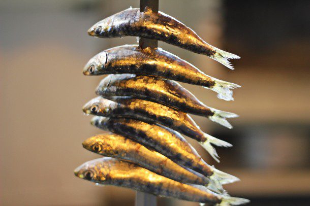 Spain anchovies