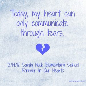 Sandy Hook Follow The Lies