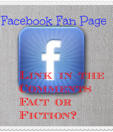 Facebook Fan Page