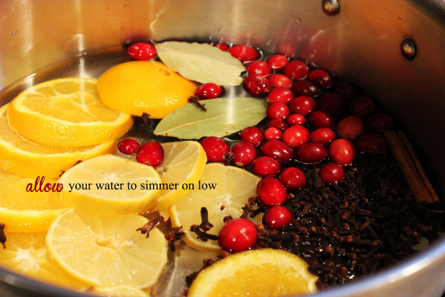 Allow your potpourri to simmer all day, and fill your house with the holiday smell.
