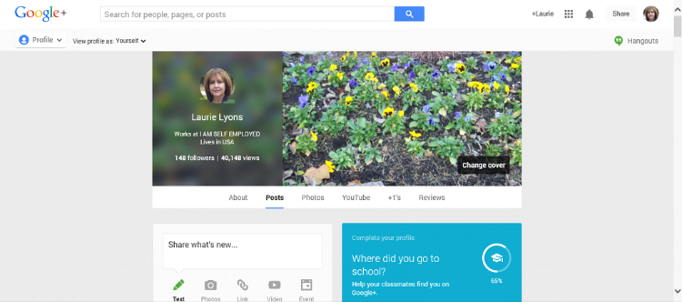 Google Plus Guide Profile