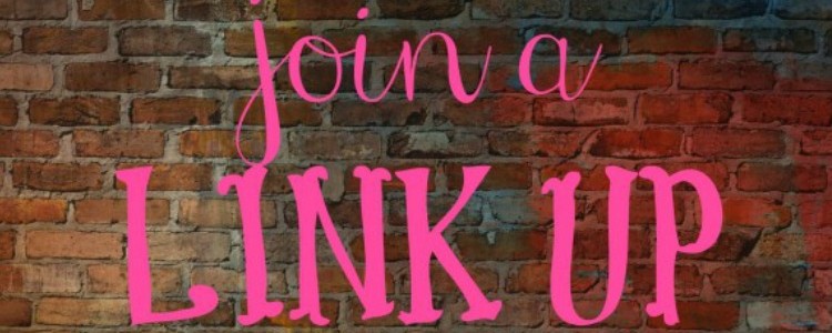 blog linky rules