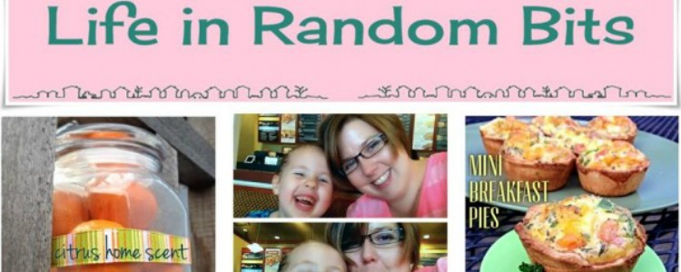 life in random bits
