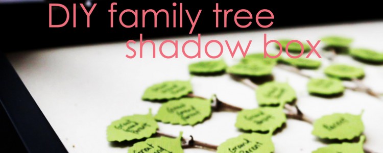 DIY Family Tree Shadow Box
