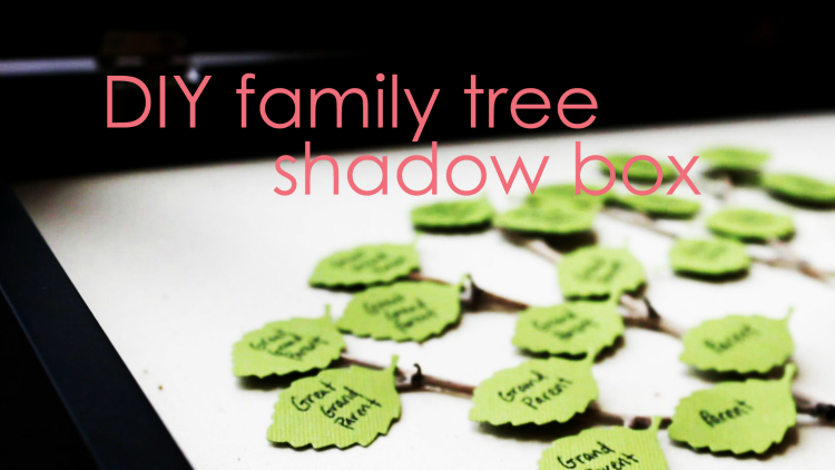 DIY Family Tree Shadow Box