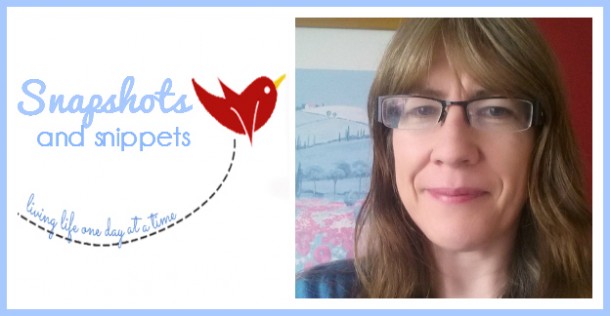 Snapshots and Snippets