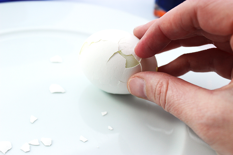Peel small pieces of the egg shell away, but leave most of it intact. 