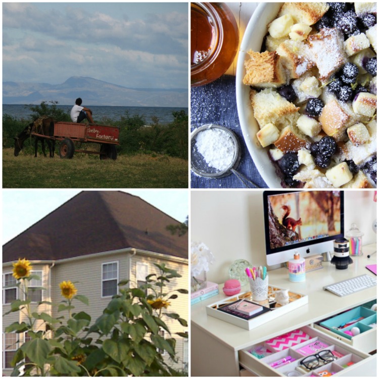 These are some of our favorite blog posts from last week's link up! 