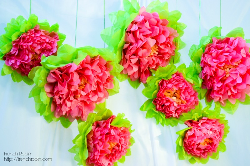 Paper pom poms make great photo backdrops when hung in front of a plain wall or sheet. Great DIY photo backdrop idea!