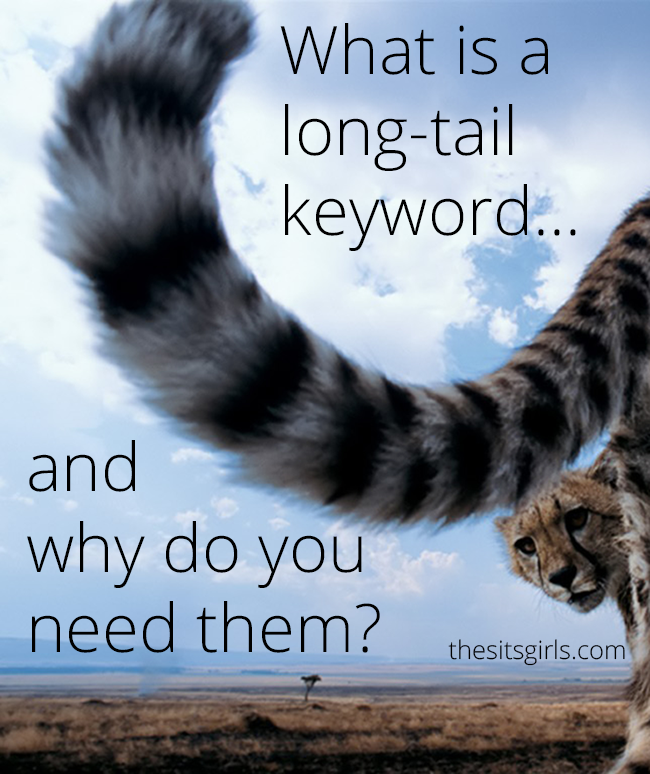 How To Blog | SEO | What is the difference between a keyword and long tail keywords? Click through to find out, and learn the secret to make your blog rank high in Google searches. 