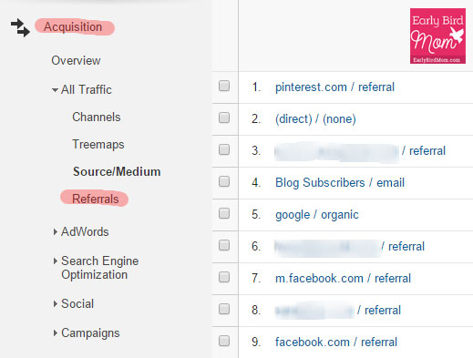 View the traffic from social media networks in your Google Analytics to see which networks are working for your blog. 