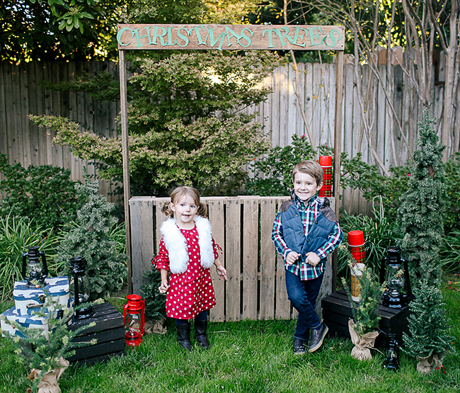 Use an old pallet to make a DIY Christmas Tree Stand for your Christmas photos. 