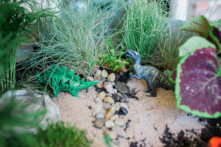 A dinosaur garden is such a cute summer activity! 