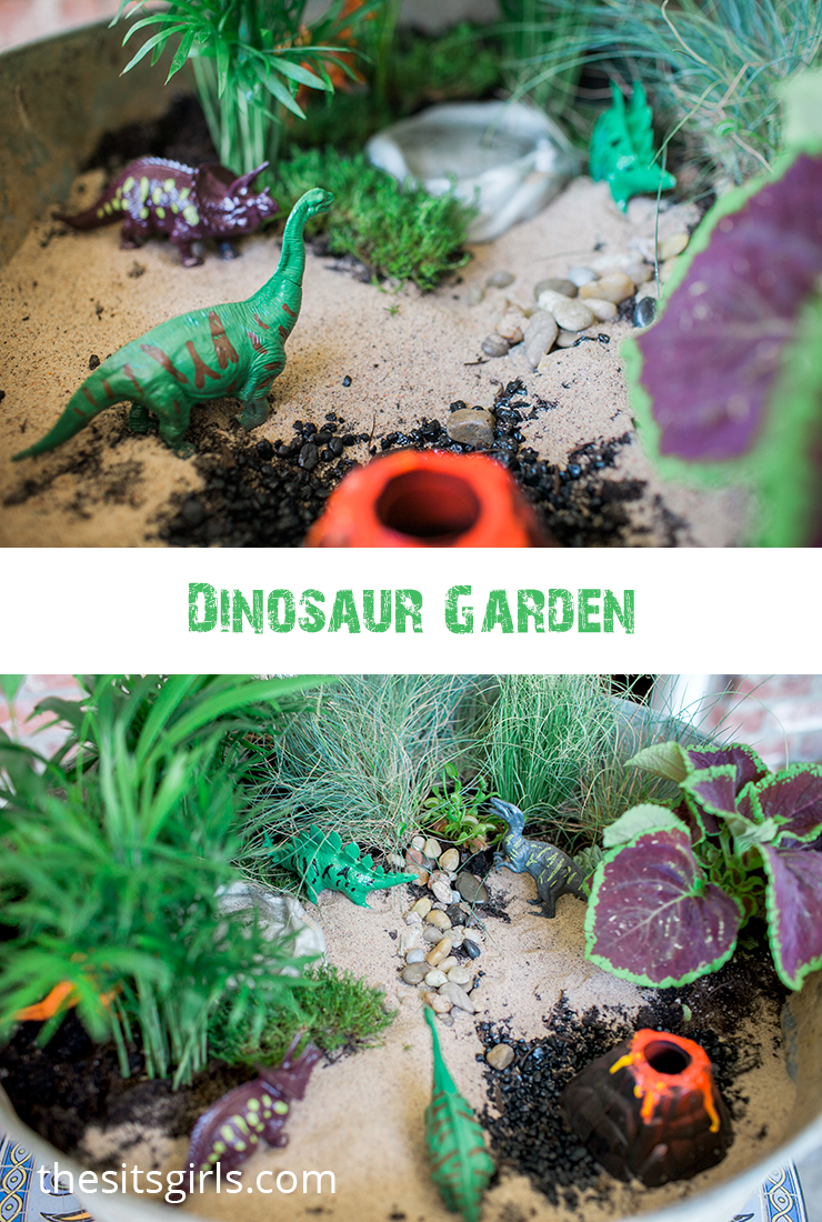 Make your own dinosaur garden! This is a fun summer activity to do with your kids. Choose plants that are easy to maintain, and watch their love of gardening grow. Don't forget to include a venus fly trap - no dino garden should be without one.