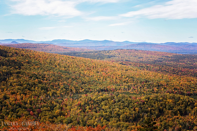 Fall Mountain Photography 
