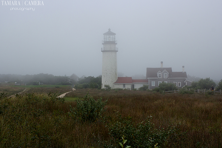 Lighthouse in the mist | Low Contrast Photography Tips