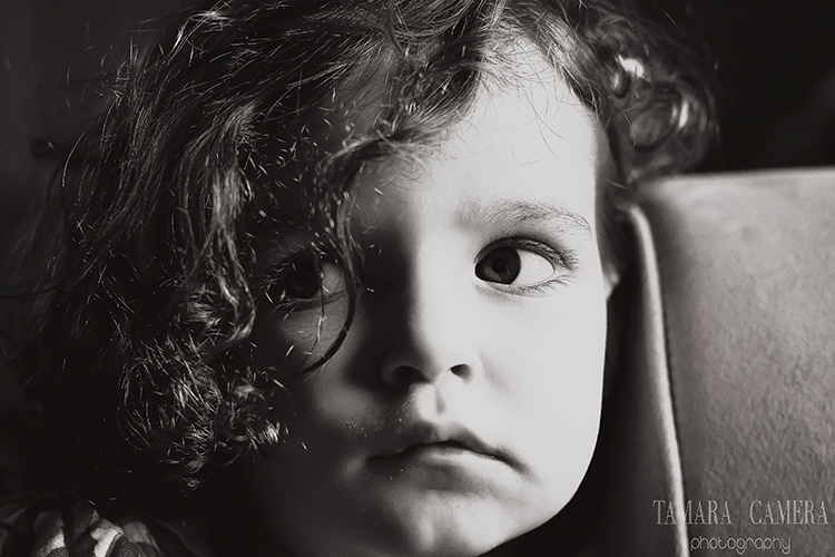 Low key tonal composition adds the feeling of moodiness or darkness | Photography Tips