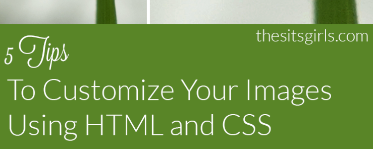Understanding CSS Photo Basics | Learning to How to Modify Photo HTML