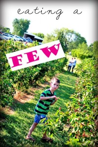 pick your own