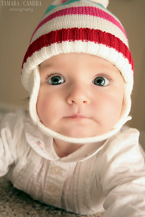 Catchlights are the bit of light and sparkle you see in your subjects eyes when you take a photo | Natural Light Photography Tips