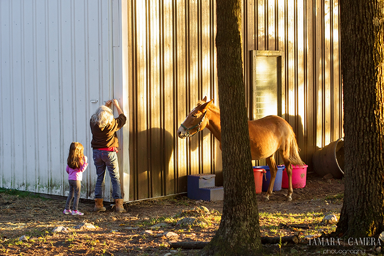 Kids playing by a horse