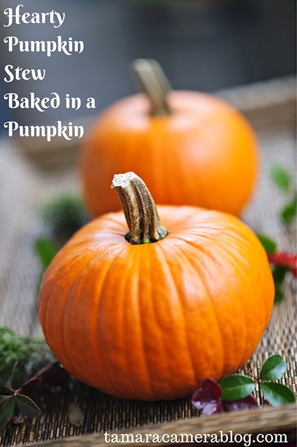 Pumpkin Stew Recipe To Blow Your Mind