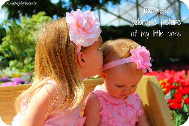 counting my kisses blog girls in pink dresses