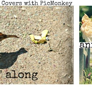 facebook cover pictures