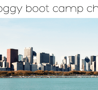 bloggy boot camp