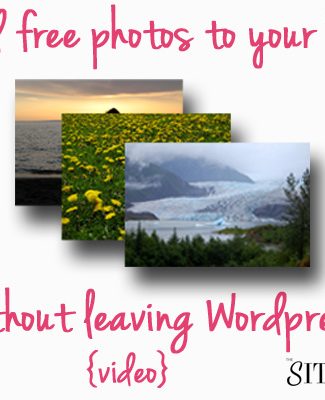 photos to download
