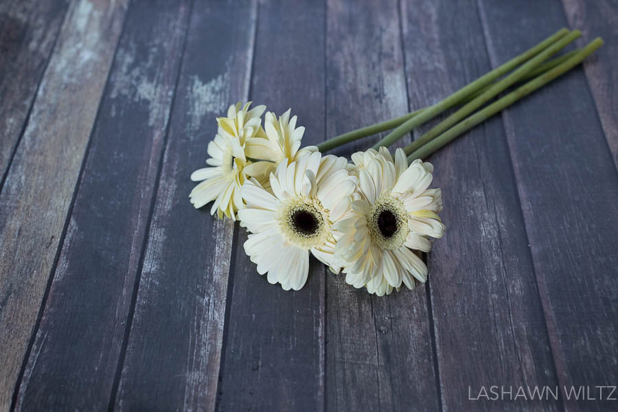 Custom white balance set using an expodisc | Photography Tips | White Flowers