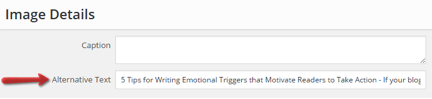 Use your alt text to let Google know about your pictures. 