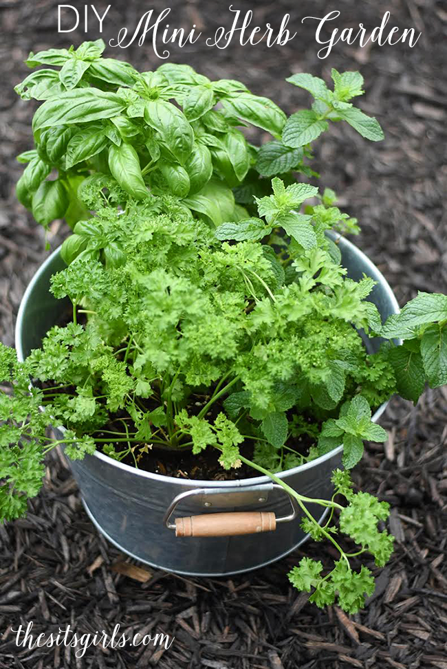 Want fresh herbs but don't have the space for a big garden? This DIY Mini Herb Garden is your answer! Great for people who live in apartments, or people who don't want the upkeep of a large garden.