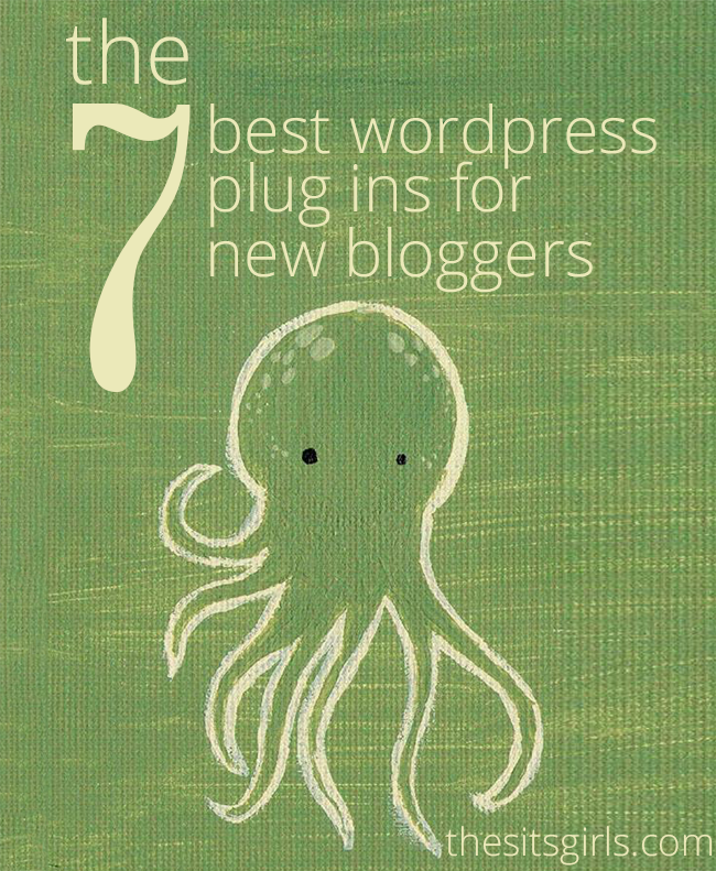 Are you starting a blog on WordPress? Learn the best WordPress plugins to use, so you can get all the benefits of plugins without slowing down your site or leaving you open to hackers. | How To Blog | WordPress Tips | Blogging TIps