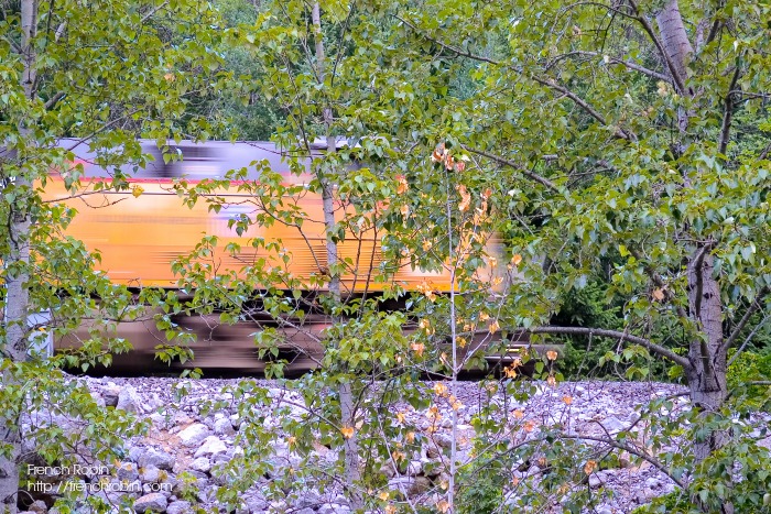 Speeding Train | Learn how to capture a shot with blur and focus exactly how you want it. 